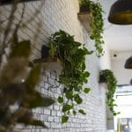 Piquancy - BuiltPlus
